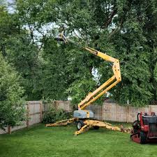  Vernon Center, NJ Tree Removal Pros
