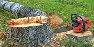 Best Tree Disease Treatment  in Vernon Center, NJ