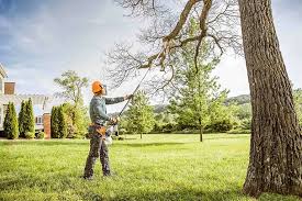 Best Lawn Irrigation Installation and Maintenance  in Vernon Center, NJ