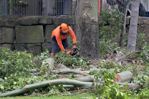 Best Utility Line Clearance  in Vernon Center, NJ