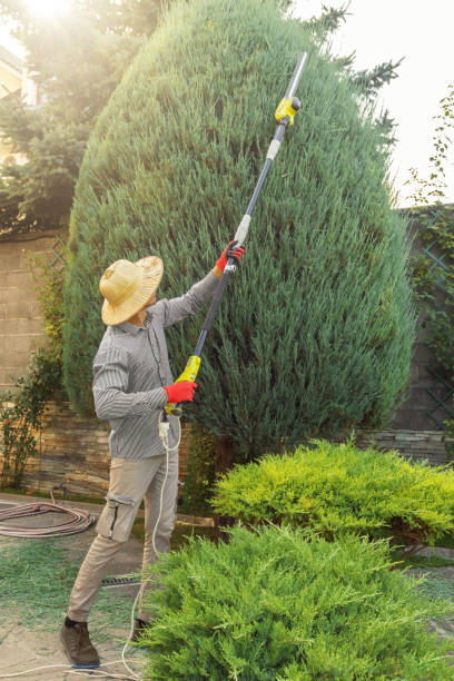 Lawn Maintenance Plans in Vernon Center, NJ