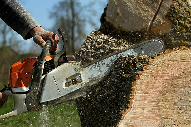 Best Soil Testing and Treatment  in Vernon Center, NJ